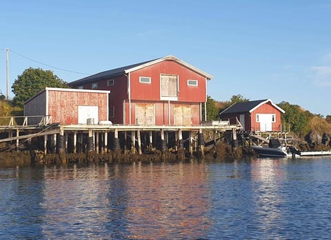 Bilde 1 av annonsen
