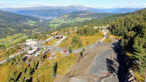 Litrane 301, Voss