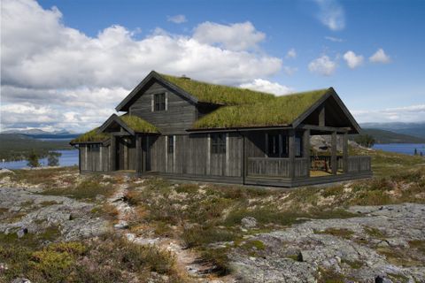 Renåfjellveien 343, Rendalen