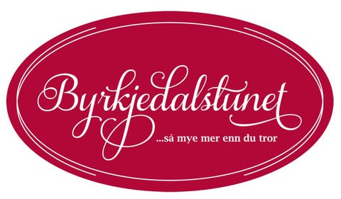Byrkjedalstunet As logo