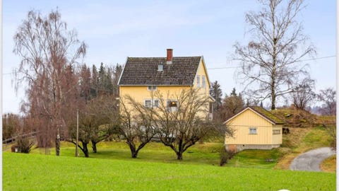 Bilde 1 av annonsen
