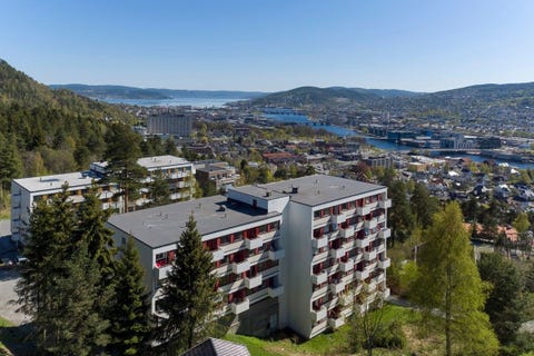 Bilde 2 av annonsen