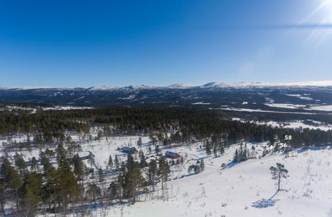 Grytdalsveien, Oppdal