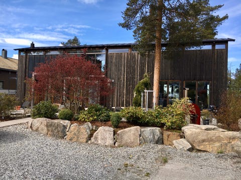 Bilde 2 av annonsen