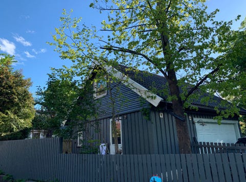 Bilde 1 av annonsen
