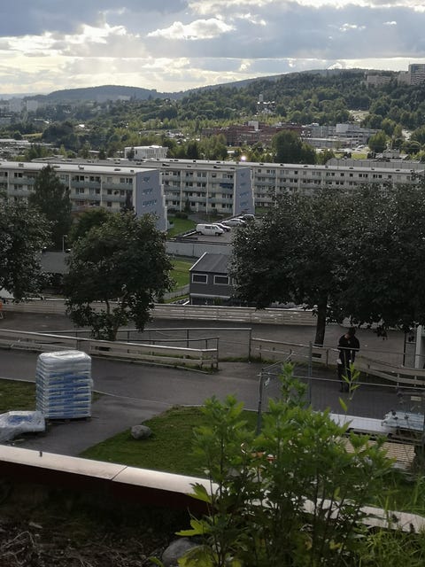 Bilde 1 av annonsen