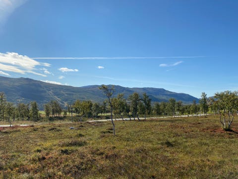 Bilde 1 av annonsen