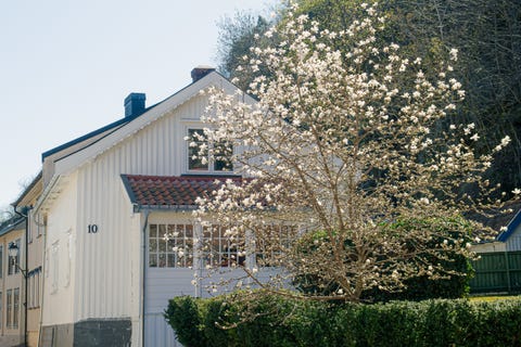 Bilde 2 av annonsen