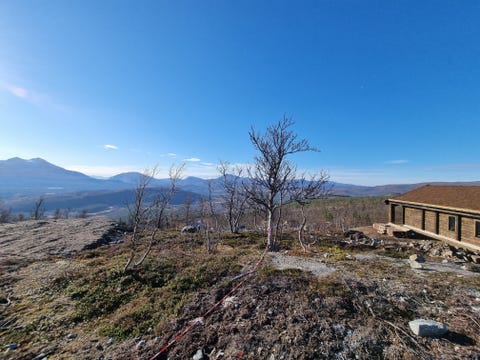 Bilde 1 av annonsen
