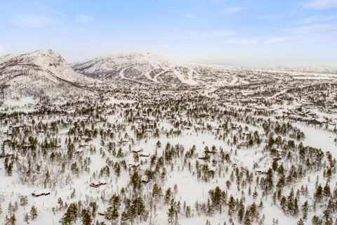Otrosåsen Hyttefelt, Hovden i Setesdal