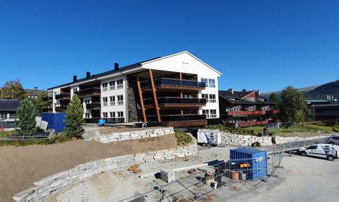 Aunevegen 9, Oppdal