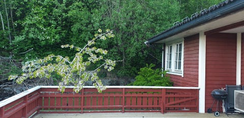 Bilde 2 av annonsen