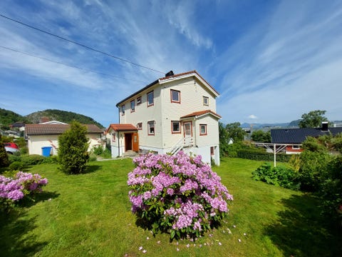 Bilde 1 av annonsen
