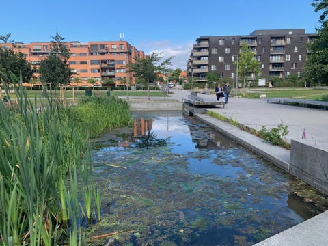 Bilde 2 av annonsen