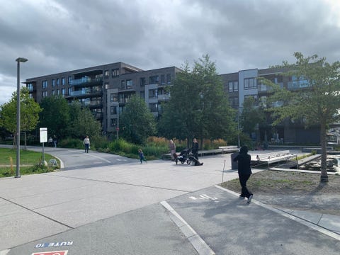 Bilde 1 av annonsen