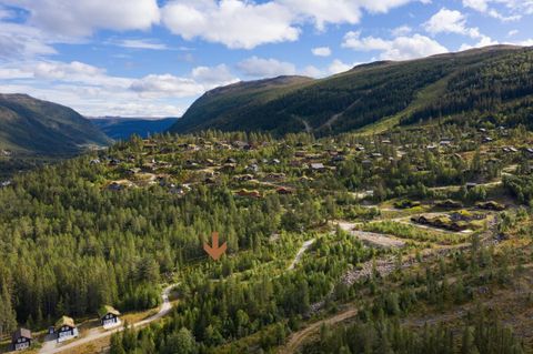 Bjønnebekkvegen 38, Uvdal