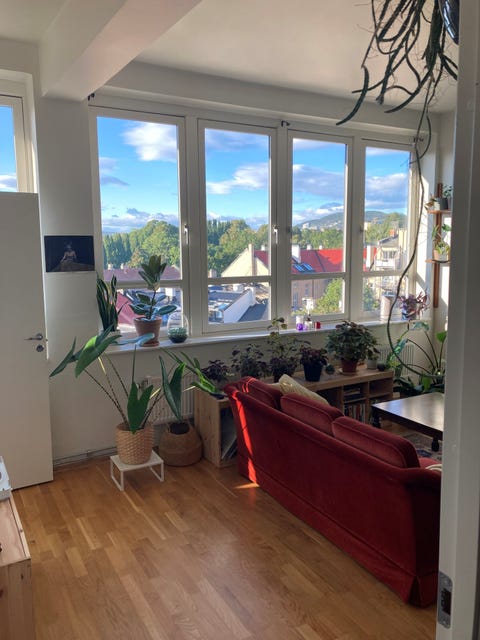Bilde 1 av annonsen