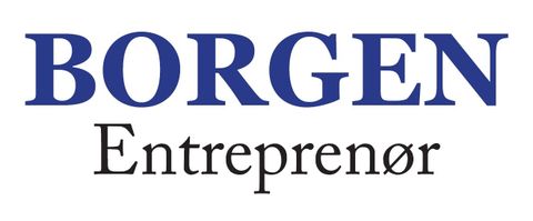Borgen Entreprenør AS-logo