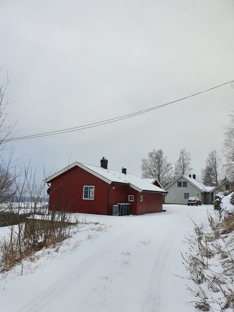 Bilde 1 av annonsen