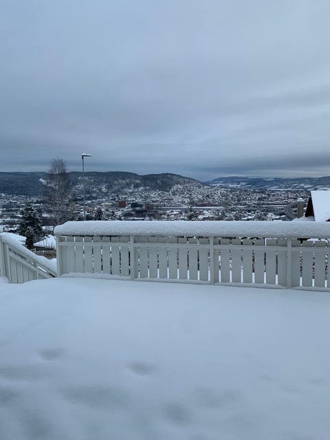 Bilde 1 av annonsen
