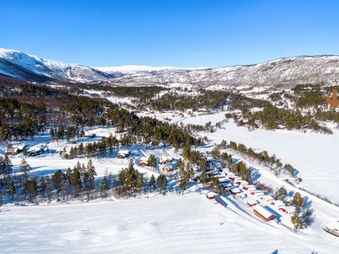 Nygardsvegen, Hovet