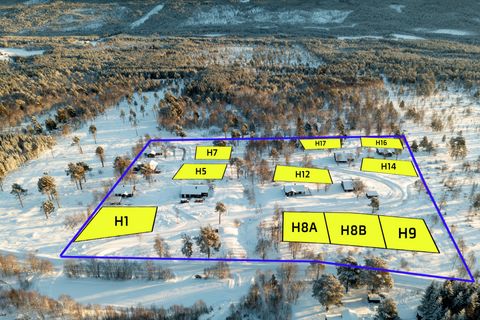 Nedre Stuggulivegen, Oppdal