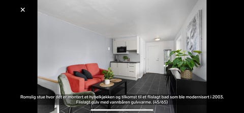 Bilde 2 av annonsen