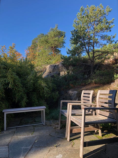 Bilde 2 av annonsen