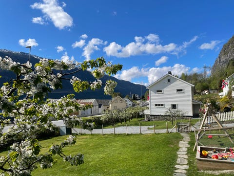 Bilde 1 av annonsen