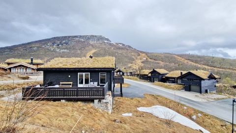 Hovdenutkollen 1, Hovden i Setesdal