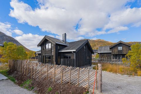 Skisentervegen 150, Hovden i Setesdal