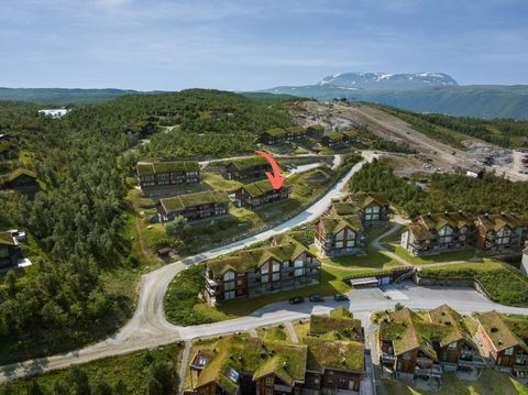 Geilotjødnvegen 50B, Geilo