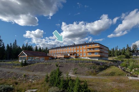Nevelfaret 52, Lillehammer