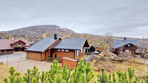 Hovden Fjellpark 130, Hovden i Setesdal