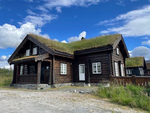 Nystøylvegen 82, Hovden i Setesdal