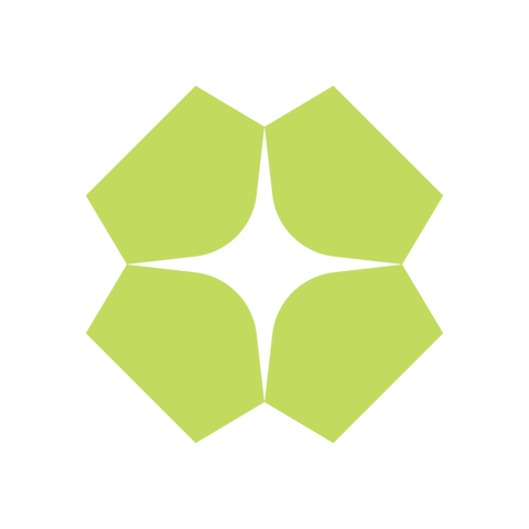 Prosesspilotene AS logo