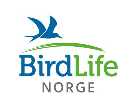 BirdLife Norge logo