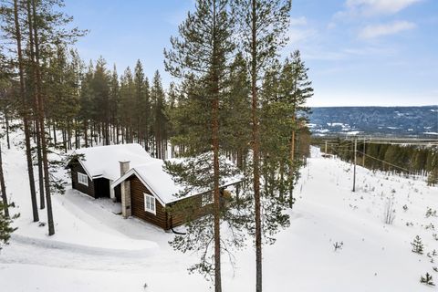 Renåfjellveien 27, Rendalen
