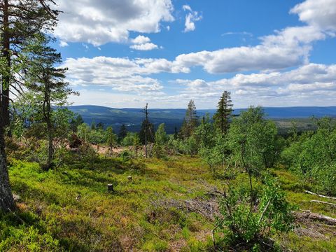 Fulufjellet hytteområde 175, Ljørdalen