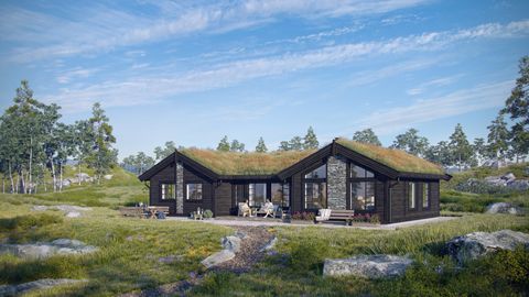 Stavåvegen, Oppdal