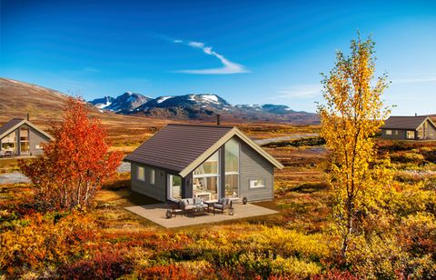 stavåvegen, Oppdal