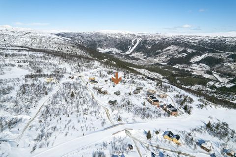 Viddevegen 436, Uvdal