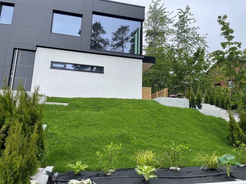 Bilde 2 av annonsen