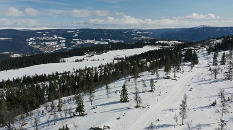 Hestknappen, Fåvang