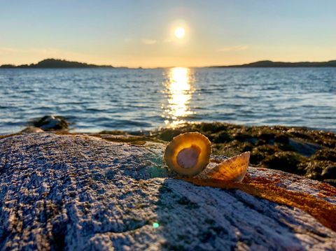 Merkedalsvågen hyttefelt, Byrknesøy