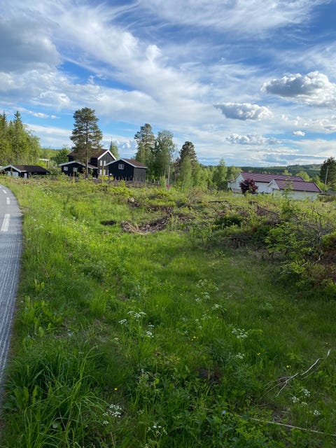 Bilde 1 av annonsen