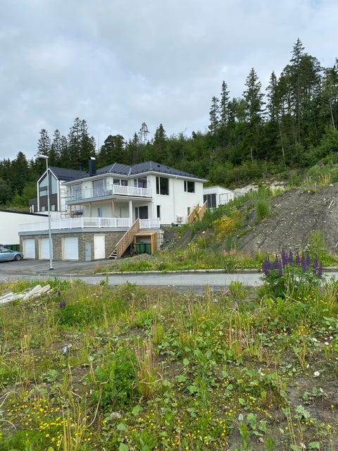 Bilde 2 av annonsen