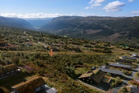 Einebærbakken tomt 2, Uvdal