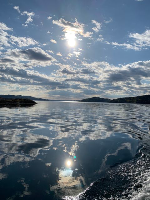 Skjelsvikvegen 57, Fister