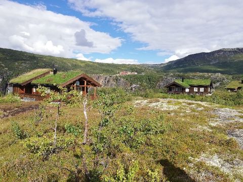 Gjermund Hølsveg 110, Vøringsfoss